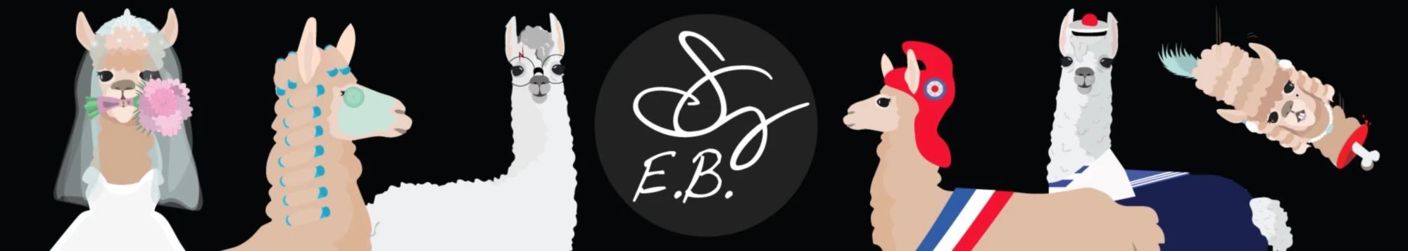 Banner image of BOUTIKASEB