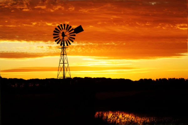 Banner image of MoCadau