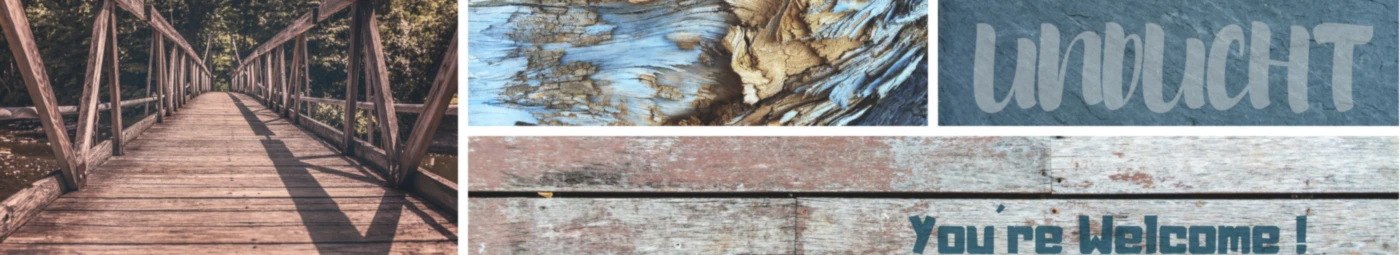 Banner image of Unducht