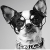 OhMyDog