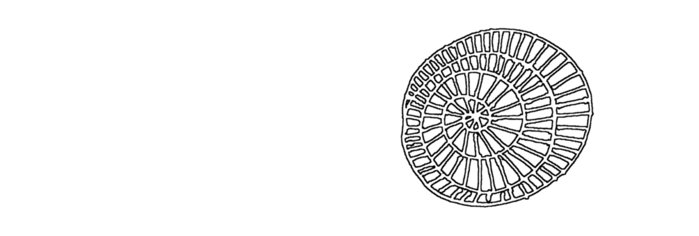 Banner image of Myrkotten