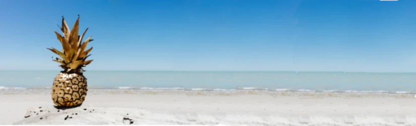 Banner image of ProD Design