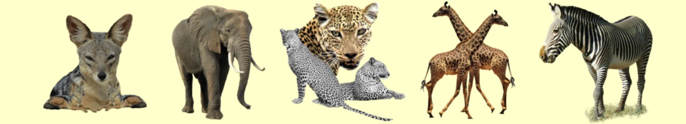 Banner image of T-SHIRTS UND MEHR