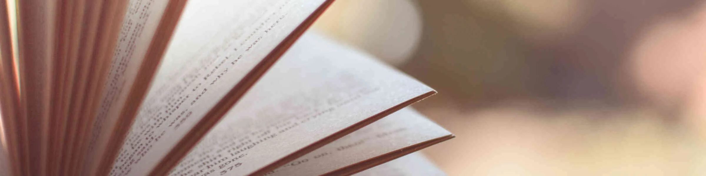 Banner image of Jimmys Book