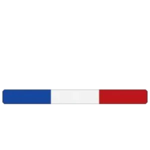 Bannière de FrenchKingdom