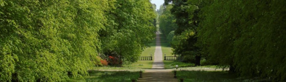 Banner image of KirstyPratt