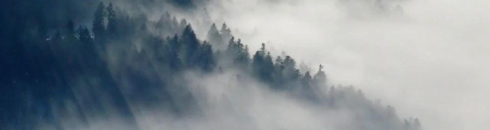 Banner image of xblackxy