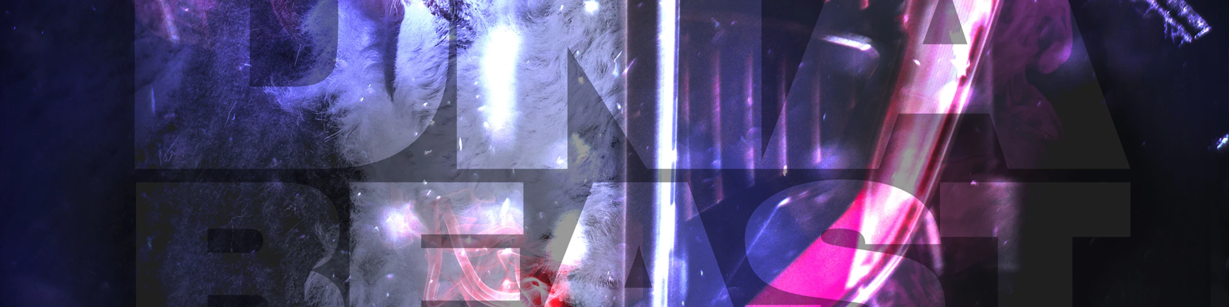 Bannerbild von runRIOT