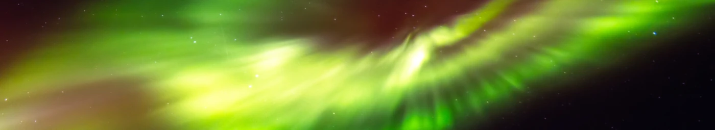 Banner image of 115941634