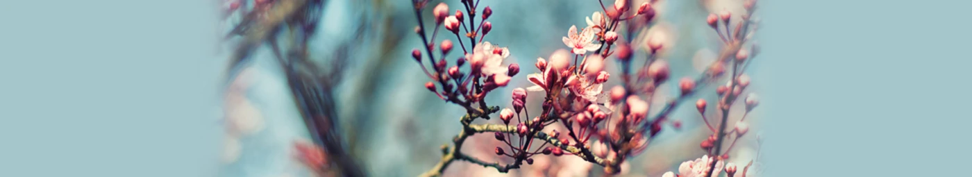 Banner image of KaMaPhotography