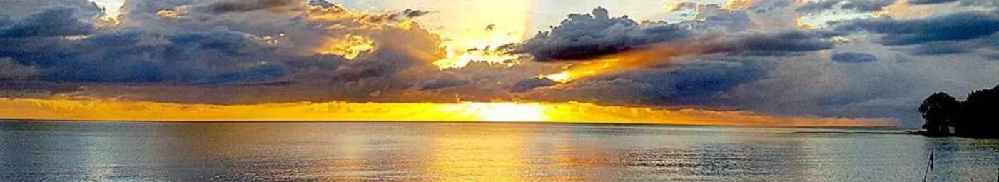 Banner image of Erosmyth