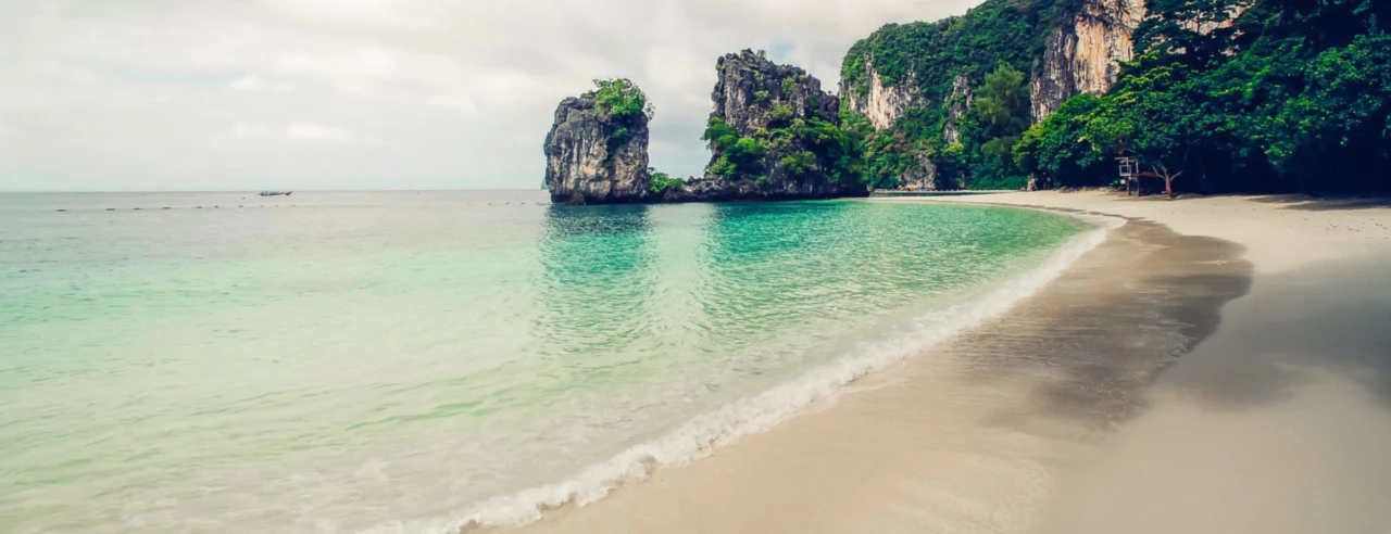 Banner image of Moritz B