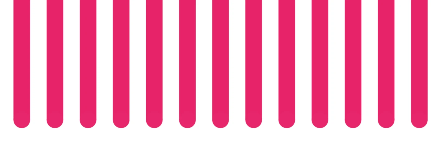 Bannerbild von Surfdog