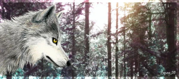 Banner image of Amyloup