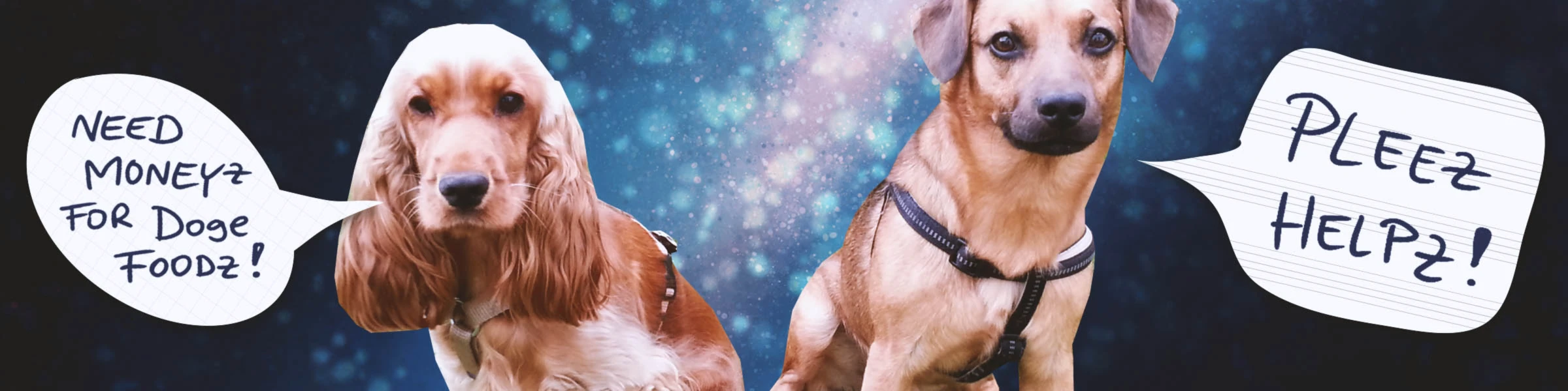 Banner image of IzzNajs