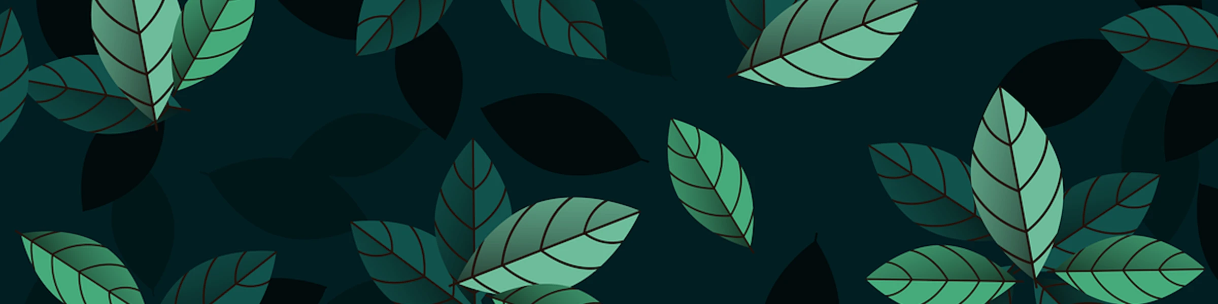 Banner image of JoPeBro