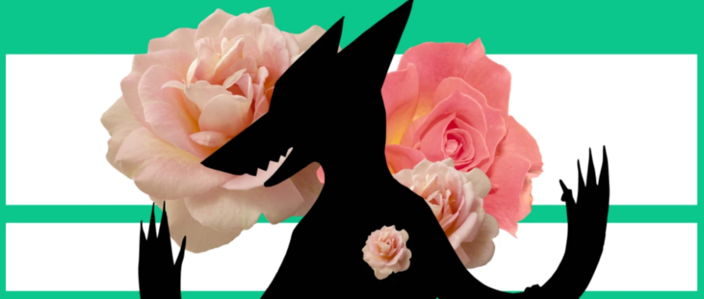 Banner image of Shoub