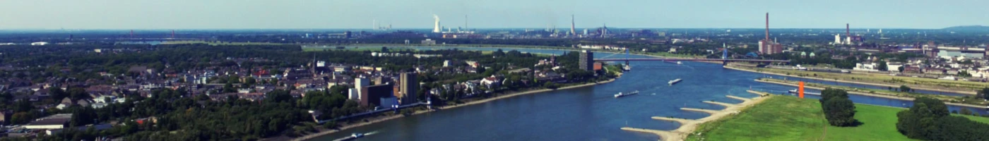 Banner image of Bestseller-Shirts