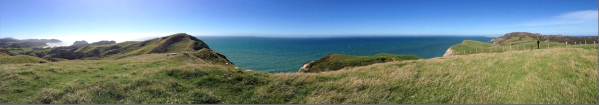 Banner image of Foorden