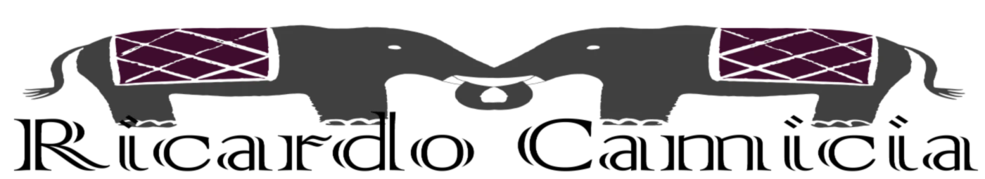 Banner image of Ricardo Camicia