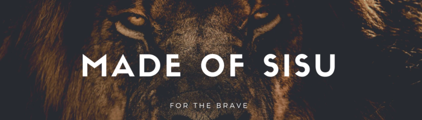 Bannière de ellusstiina