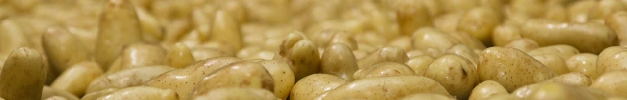 Banner image of FlyingPotato