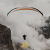 Soaring Brothers Paragliding