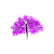 116010827