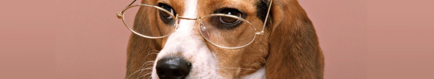 Banner image of hfuerharri