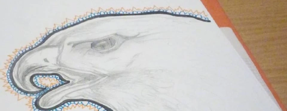 Banner image of Soleil de Lune
