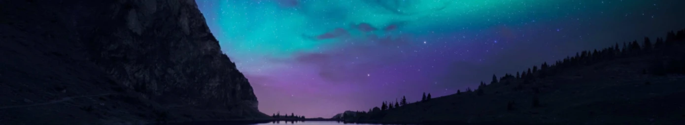 Bannière de SkyTreeShirts