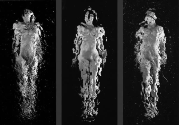 Banner image of 116015715