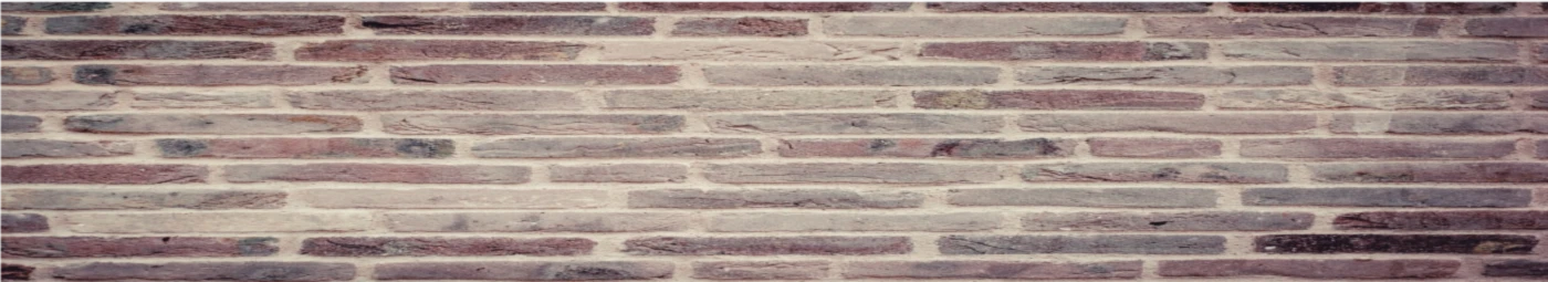 Banner image of CAHR88