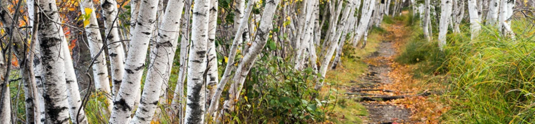 Bannière de Out of Comfort Zone