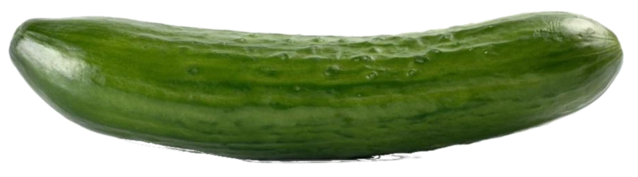 Banner image of Bavarian Bumblebee