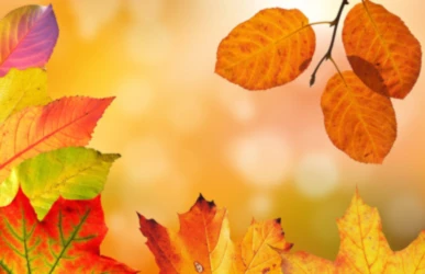 Banner image of Hello September