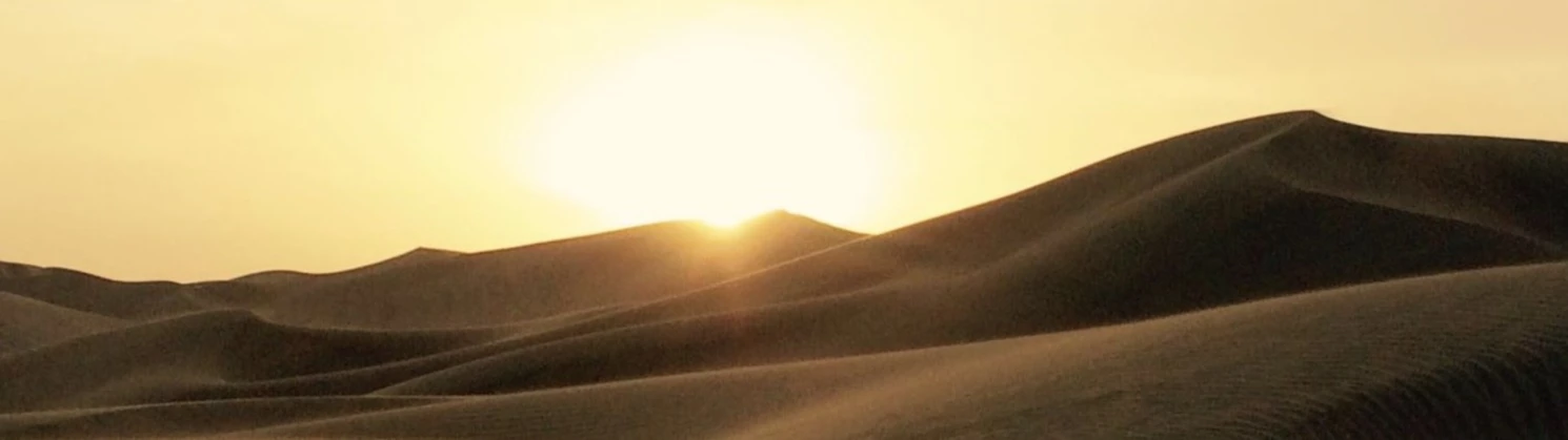 Bannerbild von SirShirtalot