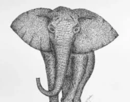 Banner image of 116066786