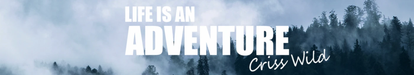 Banner image of Flying