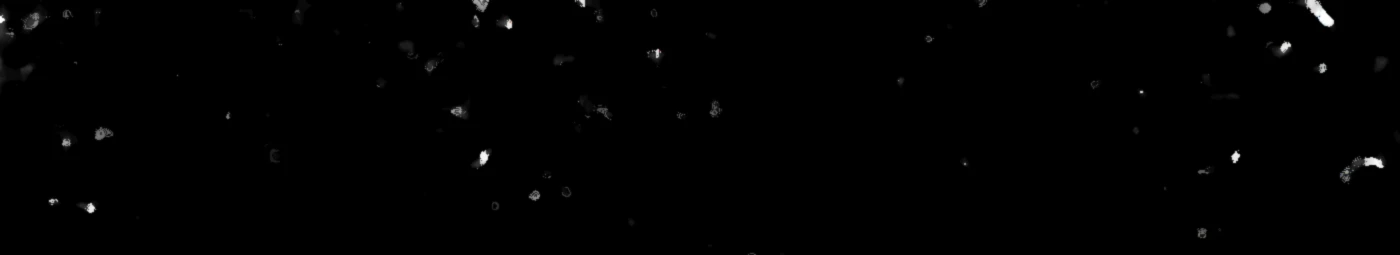 Banner image of YEAHMIRC
