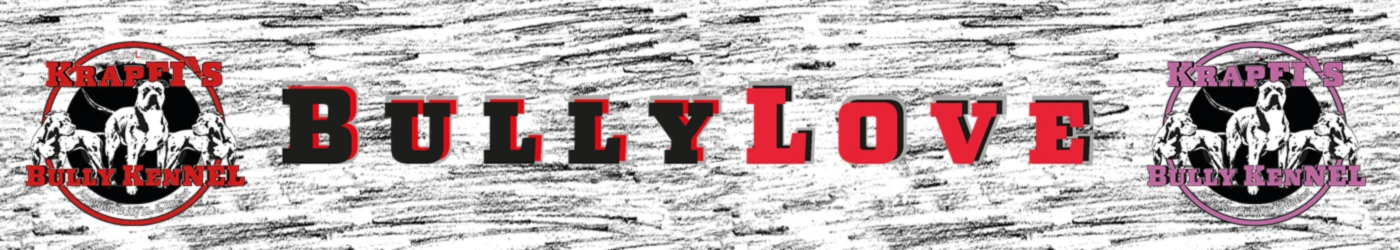 Bannerbild von American-Bully-Love