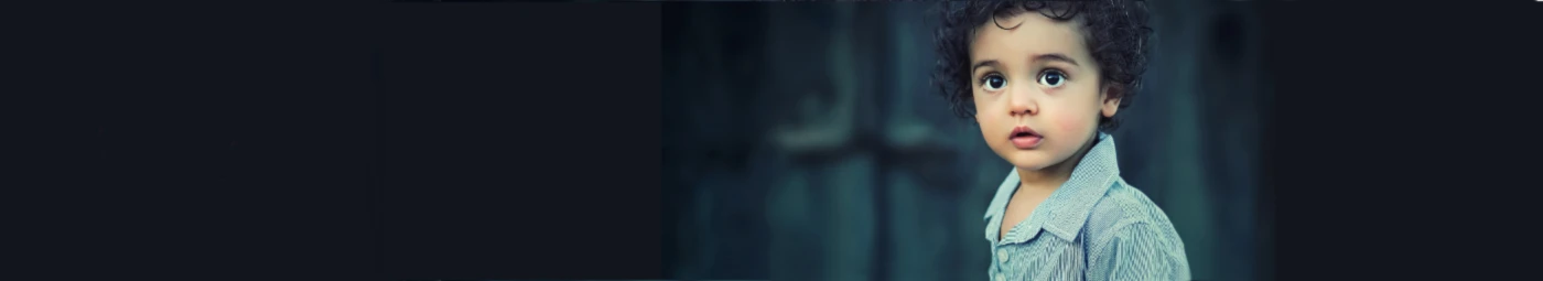 Banner image of Die MIAs