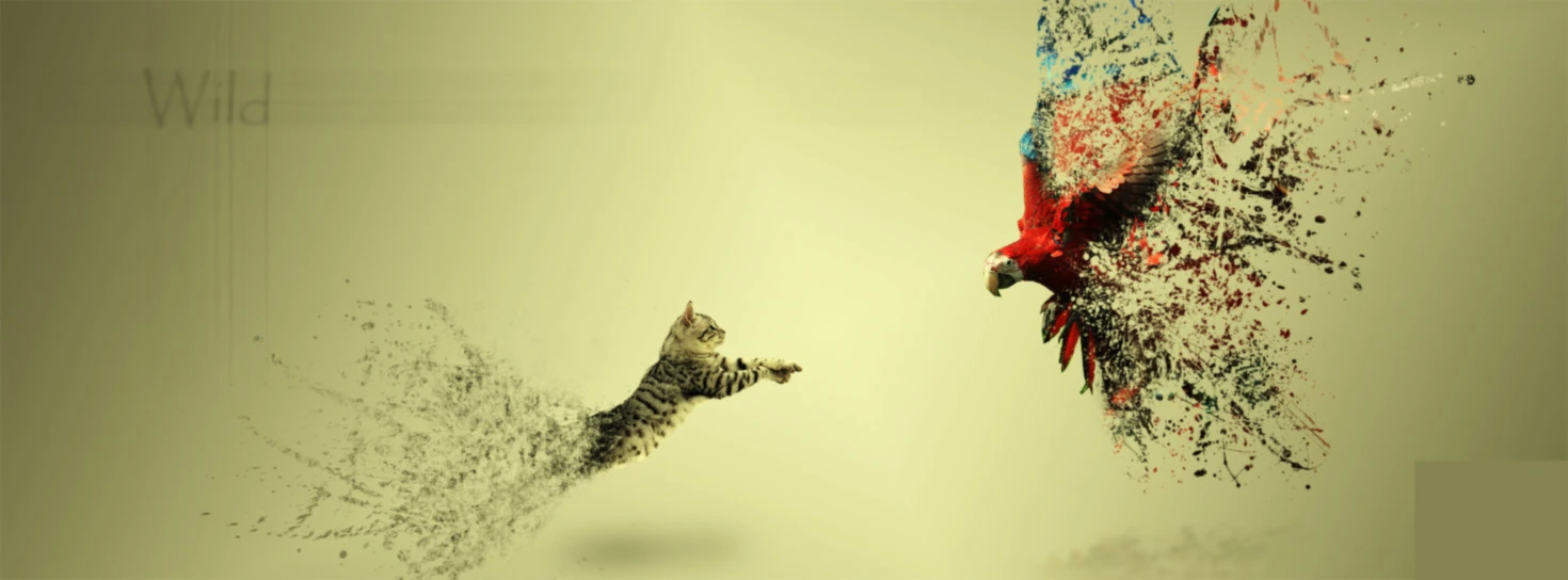 Banner image of DKDesigns