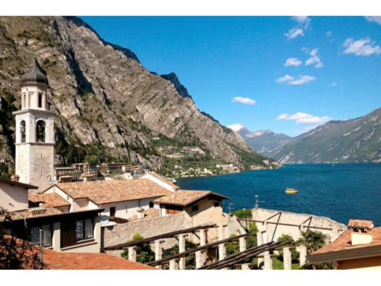 Banner image of Derreale