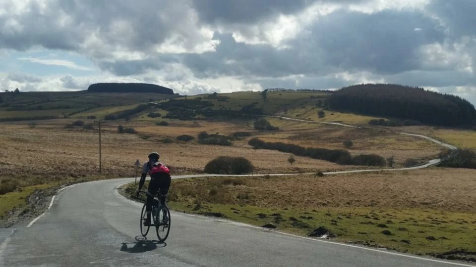 Banner image of 116117443
