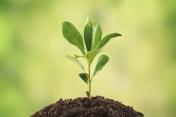 Banner image of 116118925