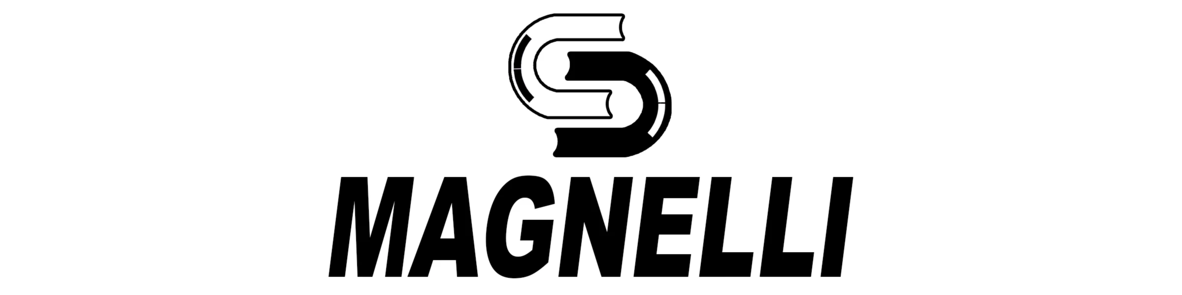 Banner image of Magnelli