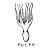 Pulpo