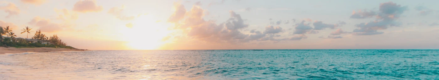 Banner image of Festivallr