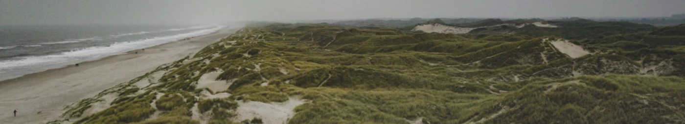 Banner image of NielsNickel